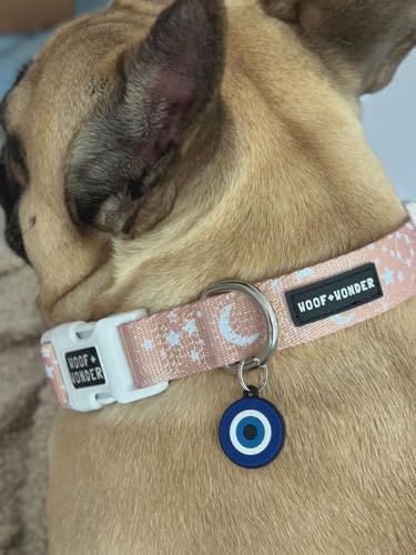 Image of Evil Eye Pet Protection Charm - Blue Evil Eye Pendant for Dogs, Cats, Birds, Parrots, Rabbits & Pets | Lucky Amulet Collar Tag & Keychain for Men & Women | Car, Home, Prosperity, Good Luck, Negative Energy Protection