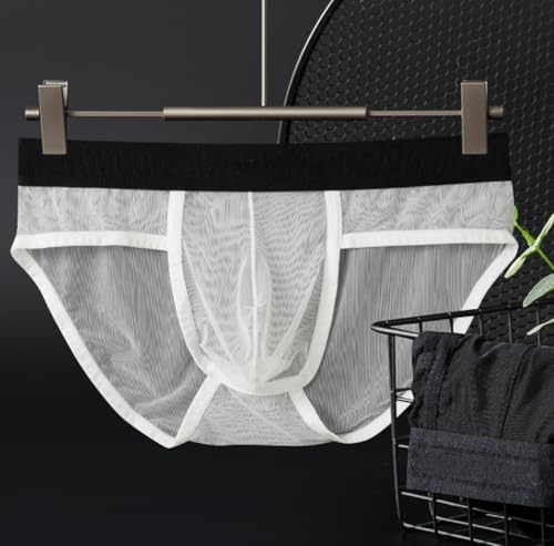Men's See Through Sexy Mesh Underpants Breathable Comfort Panties Briefs4