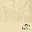 BM199 Barley