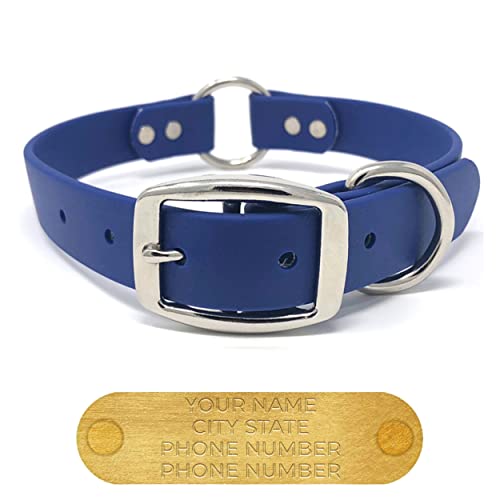 Regal Dog Products Large Blue Dog Collar With Custom Engraved Name Plate cover