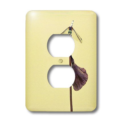 Finitions murales Libellule lsp_13904_6 3dRose pour double prise