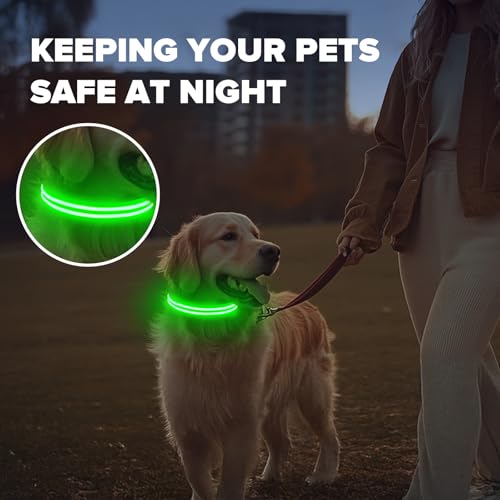 Feycig Leuchthalsband Hund USB Aufladbar - LED Hundehalsband Leuchtend Wasserdicht Leuchtendes Hunde Halsband Einstellbare für Kleine Mittlere Große Hunde, 3 Modi