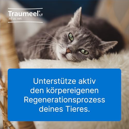 Traumeel Gel ad us. Vet. 50g | Natürliche Tierarzneimittel für Hunde | Made in Germany  
Traumeel Gel ad us. Vet. 50g | 