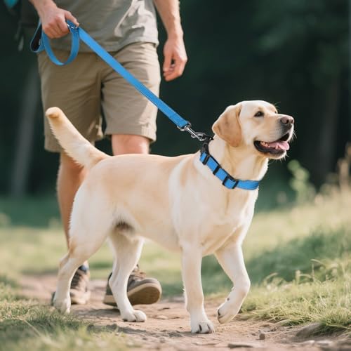 Image of Joytale Reflective Dog Collar, Adjustable Neoprene Padded, Sky Blue L | Breathable Nylon for Large Dogs, No Chafing on Walks and Outdoor Hikes, Tear-Resistant Webbing, Metal D-Ring, Night Safety