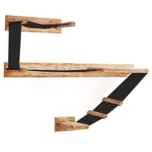 Best Cat Shelves 2023 UK Reviews Climber, Floating for Walls