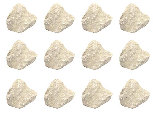 Eisco Labs - Tiza de piedra caliza cruda (12 unidades, 2,5 cm)