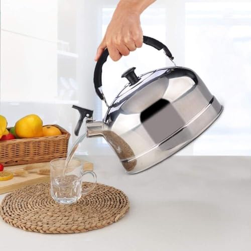 Cafetière bouilloire à sifflet pour four à induction et plaques à gaz 3L