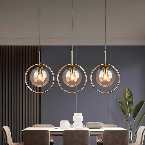 Image of Golden Metal & Smoke Glass Ring Shape Hanging Light, Living Room, Bedroom, Home Decor, E27 Bulb Holder (Without Bulb)