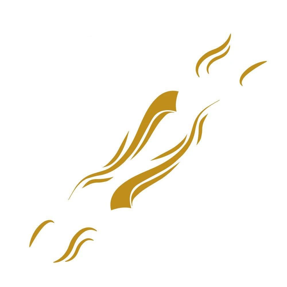 Dabhuoc Matt Gold Motorhome Stripes Vinyl Stickers For Camper Van Horsebox Caravan Rv Car Tuning Accessories Decoration Decals(,336.5X54.5cm)