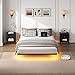 YORMDMO Floating Bed Frame Queen Size, Heavy Duty Bedframe with Smart LED Lights & Charging Station, Modern Metal Platform Bed, Easy Assembly No Box Spring Needed, 8 Inch