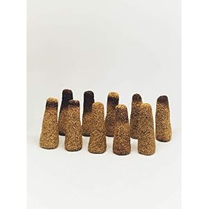 Palo Santo Cones Pack of 10 Red Abalone Shell 2 3 Natural Wooden Tripod Stand 2