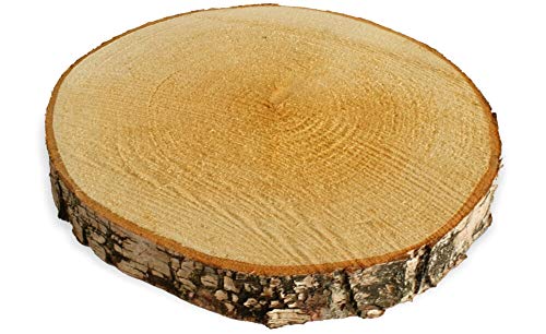 Große Holzscheibe zum Basteln oder Dekorieren - 1 Stück naturbelassene...