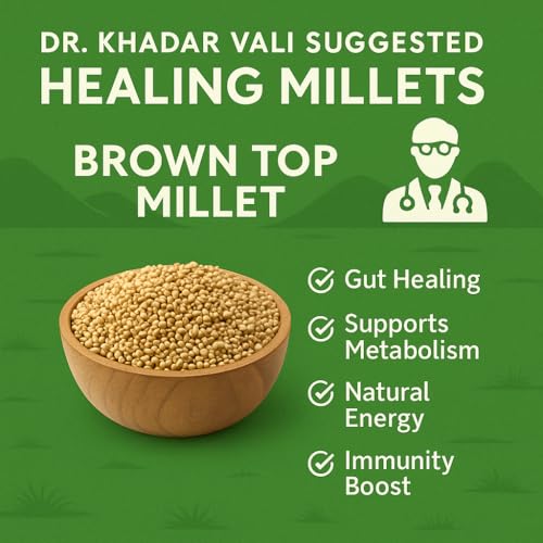 Image of ADITHI MILLETS Browntop Millet Rice 1.5kg (500g x 3 Pack) | Choti Kangni /Andu Korralu /Korale | Unpolished Whole Grain | High Fiber | Stone-Free | Natural & Healthy