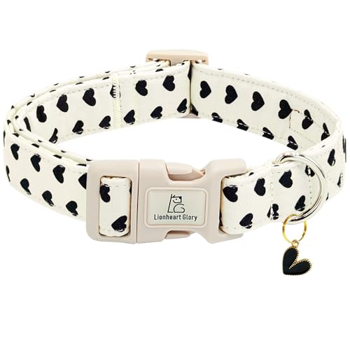 Lionheart Glory Valentine's Dog Collar with Hearts Print