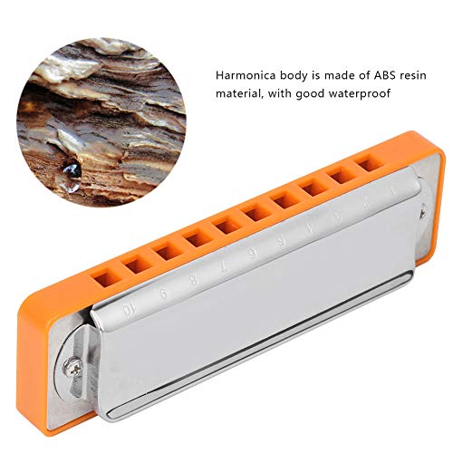 Harmonica en forme de clé de EB à 10 trous avec peigne en résine ABS pour performance professionnelle, débutants… - Les Beatles, Paul McCartney, John Lennon, RIngo Starr, George Harrison Harmonica en forme de clé de EB à 10 trous avec peigne en résine ABS pour performance professionnelle, débutants… – Image 4