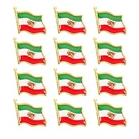 Bafiwu 12 Stück Iran Flagge Löwe Brosche, Iran Persian Flag Lion Pins Männer und Frauen, Geeignet für Kleidung, Taschen und Hüte