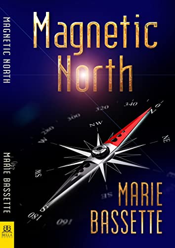 Magnetic North view 2