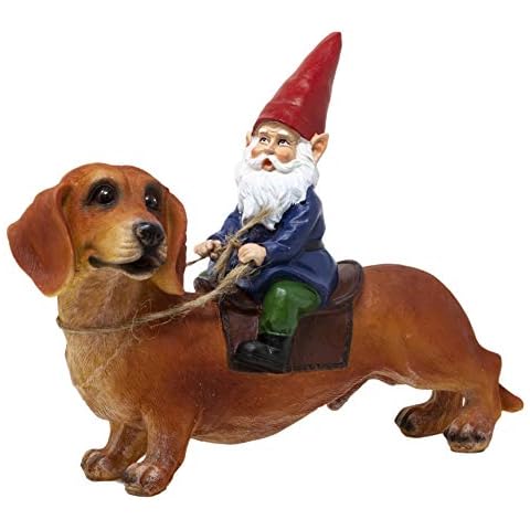 Funny Guy Mugs Gnome and a Dachshund Garden Gnome Statue- Indoor/Outdoor Garden Gnome Sculpture for Patio, Yard or Lawn Cover