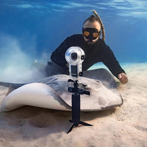 Insta360 Dive Buddy evita caídas de cámara en imágenes subacuáticas 7