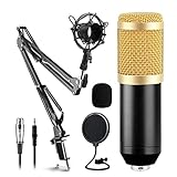 Wireless Microphone Microphone USB Condenser PC Microphone with Adjustable Desktop Mic Arm &Shock Mo