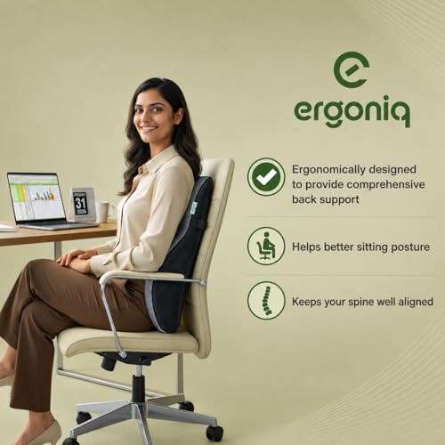 Image of Memory Foam Lumbar Back Support Cushion for Office Chair & Car Seat | Ergonomic Lower Back Pillow for Posture Support & Sitting Comfort | Breathable Cover | 1 Year Warranty (Grey)