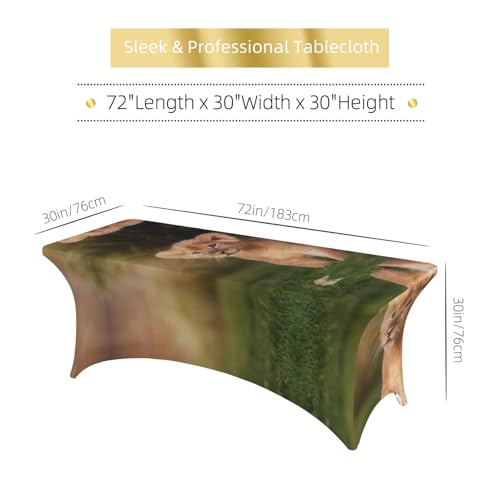Housse de table rectangulaire extensible EdWal Art Lion anti-pli pour buffet de mariage