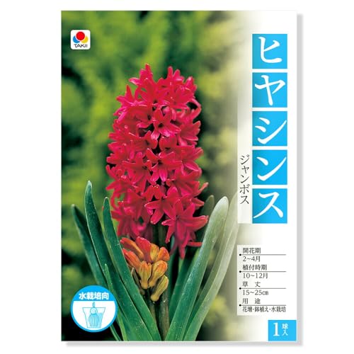 ycharmziϗtAjqVX ͔|pqVX W{XiPj kC~Gs