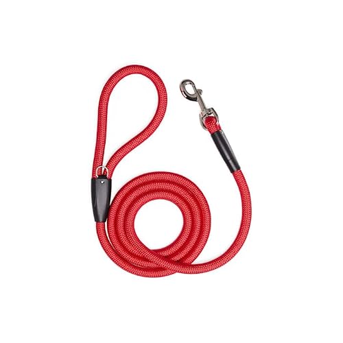 Youly by Petco Rope Dog Leash Red 6-ft Long 1/2-in Wide
