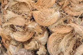 Crafbuys Dry Natural Coconut Husk for Multipurpose 100% Natural Selective Husk - 2 Kg (B0D9NDLLQ6) Amazon Price History, Amazon Price Tracker