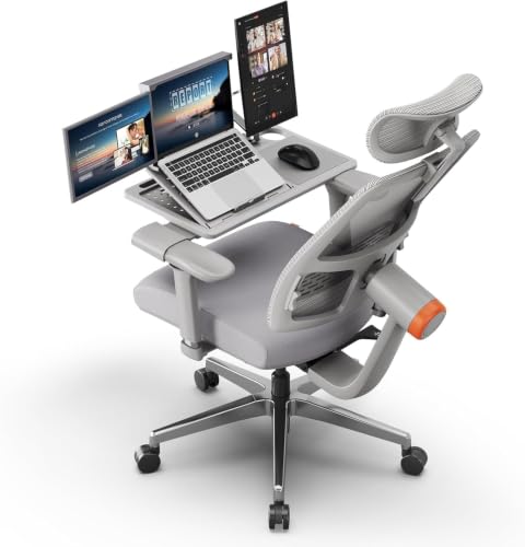 Image of DROGO Ergonomic Office Chair for Work from Home, High Back Computer Chair with Adaptive Lumbar Support, 4D Armrest, Tray, Recline, Adjustable Height & Headrest, Mesh Chair for Office /Home (Grey)