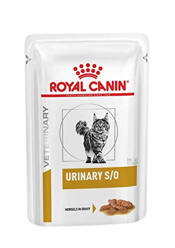 ROYAL CANIN pour Chat Chat Morceau 12 x 85 g