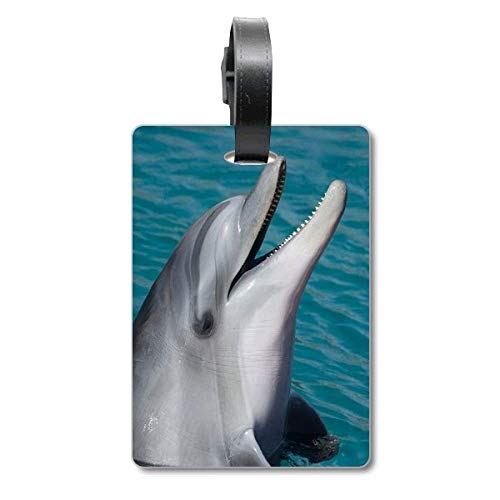 Étiquette d'identification Ocean Water Dolphin pour valise et sac de voyage Tourister