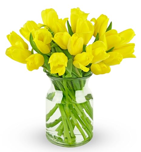 Image of Benchmark Bouquets - 20 Stem Yellow Tulips (Glass Vase Included) - Fresh Flowers for Delivery - Gift for Graduation, Birthday, Anniversary, Sympathy, Get Well, Congratulations