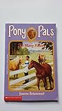 Too Many Ponies (Pony Pals #6)
