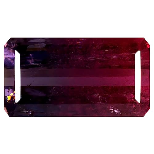 Tourmaline pastèque vrac pierre précieuse Mozambique 3.73 ct octogone