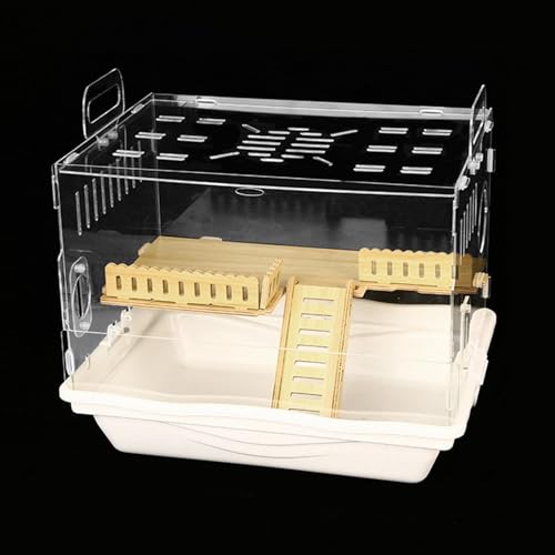 Cage pour hamster transparente idéale pour observer en famille