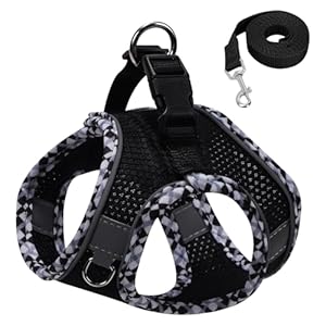 Small Dog Harness and Leash Set, No Pull Adjustable Step in Puppy Reflective Breathable Mesh Pet Harnesses Soft Padded Vest for Dogs Easy to Put on (Black-XXS)