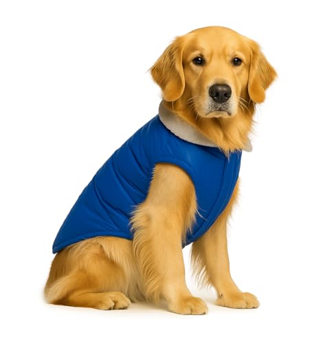 Image of The Pets Company Dog Winter Coat Jacket, Clothes, Windproof, Waterproof, Light Weight, Washable, Ultra Warm Thick Fleece Lined Dog Vest for Cold Weather Protection, (Blue, Large - 26 Inch)