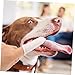 BESPORTBLE 10pcs Pet Grooming Pet Brush for Dog Cat Cleaning Small Dog Toothbrush