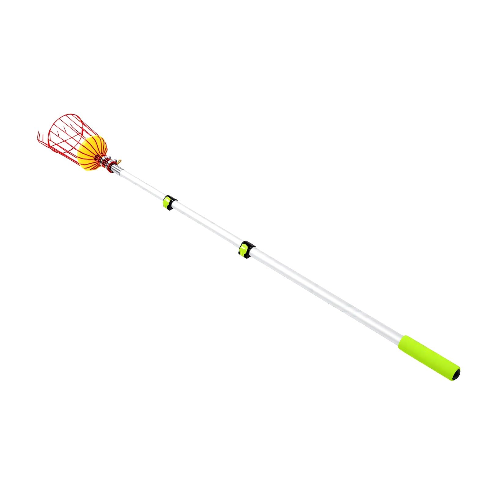 RIZGHWOY Raccoglifrutta Telescopico, Cestello per Raccolta Frutta, Asta | Asta Telescopica Fino a 78,7 Pollici, Cesto Imbottito per Mele e Mango