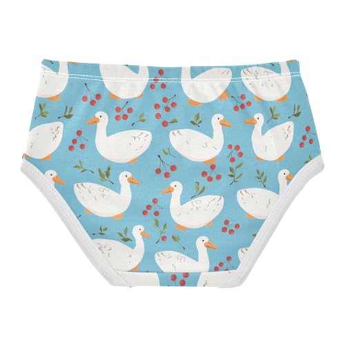 Wusikd Gooes Cherry Girls' Underwear Cotton Girls Briefs Soft Toddler Underwear 2T2