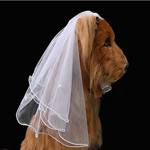 Velo de Boda para Perro y Gato con Flores miniatura 2