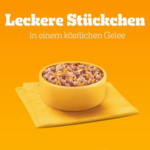 PEDIGREE Junior Multipack Gemischte Selektion in Gelee Hundenassfutter im Portionsbeutel für junge Hunde 4 Varietäten 84 x 100g