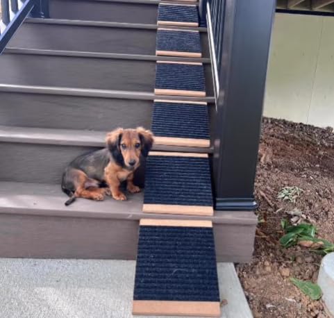 Cork and Carpet Modular Pet Ramp for Small Dogs