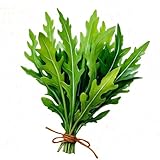 Zoom IMG-2 zengreens semi di rucola biologico Zoom IMG-2 zengreens semi di rucola biologico