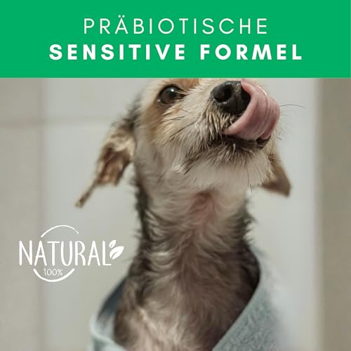 Testnote: Sehr gut - Leave-In Conditioner für Hunde - Active Care - Präbiotisches Fellpflege- & Entfilzungsspray ohne Ausspülen - 100% vegan - für geschmeidiges, leicht kämmbares Fell - 250ml