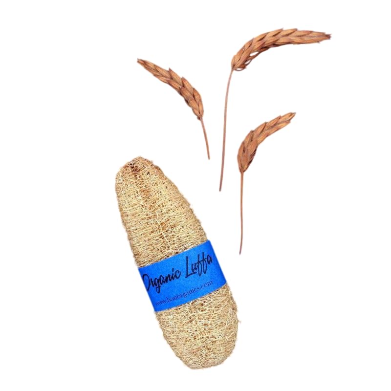Natural Luffa Scrubber | Plant-Based Exfoliating Body & Face Sponge | Neem Treated | Biodegradable Skincare Tool from Cucumber Plant (1 pcs)-image-20