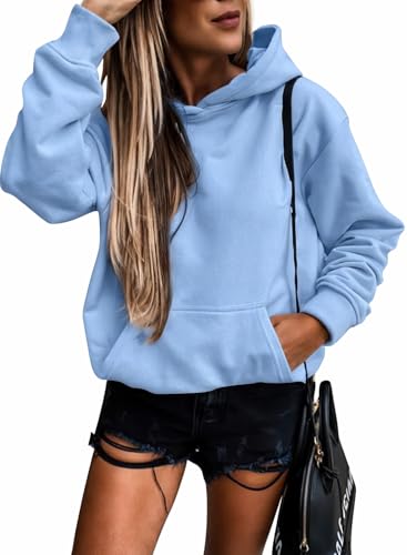 SHEWIN Womens Sweatshirt Long Sleeve Fleece Hoodies Pullover Tops Lightweight 2024 Fall Fashion Oversized Sweatshirts for Women Loose fit,US 8-10(M),Sky Blue