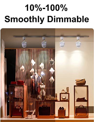 Steaire Led Track Lighting Heads,10W 4000K Cool White H Type Track Lighting Rail Ceiling Spotlight For Accent Task Wall Art Exhibition Lighting 120V 24° Halo Type 6 Pack (White) #TOP5