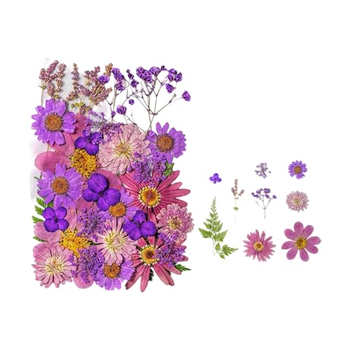 35 flores secas prensadas para resina miniatura 1